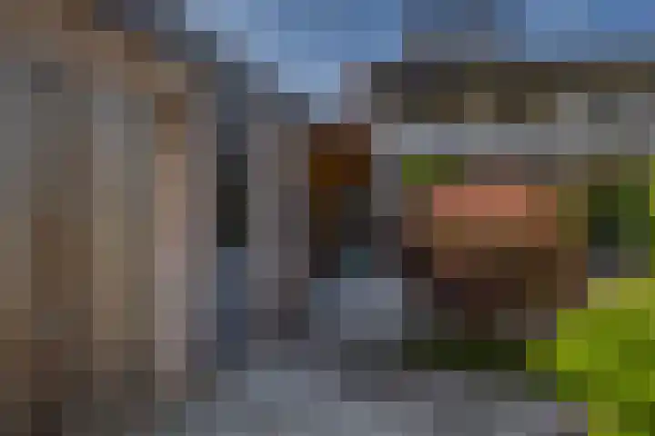 Solislaan 196 Capelle aan den IJssel thumbnail 54