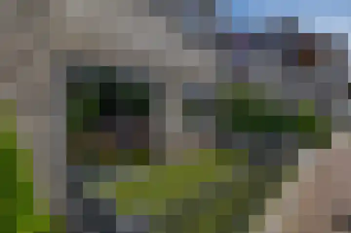Solislaan 196 Capelle aan den IJssel thumbnail 6