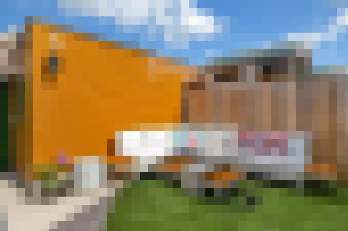 Solislaan 41 Capelle aan den IJssel thumbnail 19