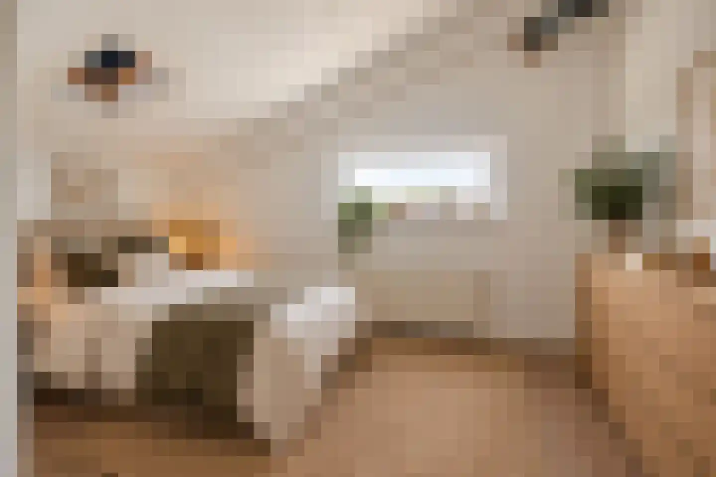 Solislaan 41 Capelle aan den IJssel thumbnail 30