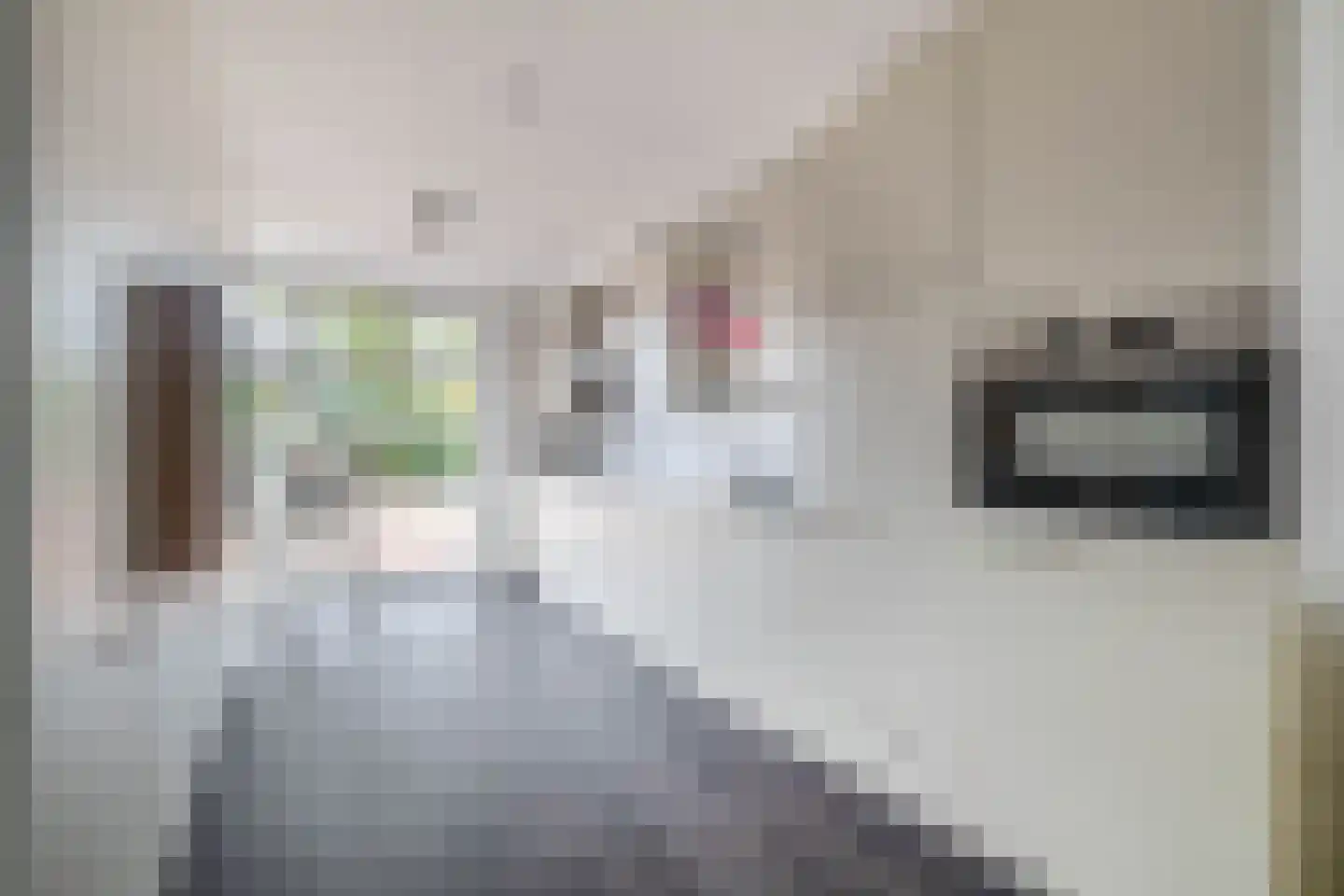 Solislaan 41 Capelle aan den IJssel thumbnail 5