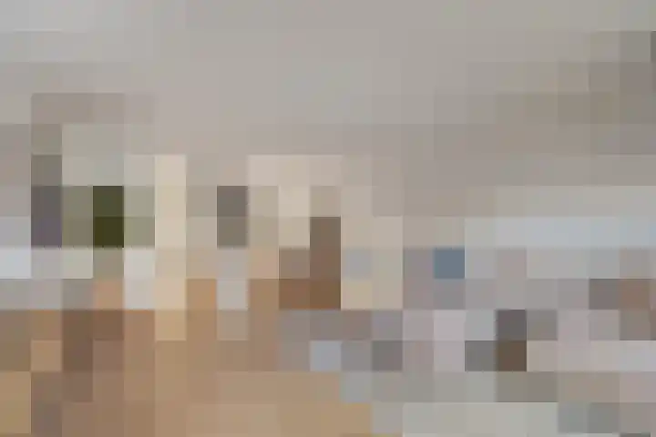 Solislaan 67 Capelle aan den IJssel thumbnail 16