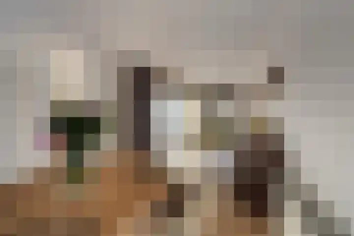 Solislaan 67 Capelle aan den IJssel thumbnail 20