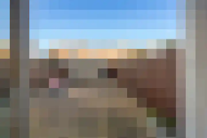 Solislaan 67 Capelle aan den IJssel thumbnail 27