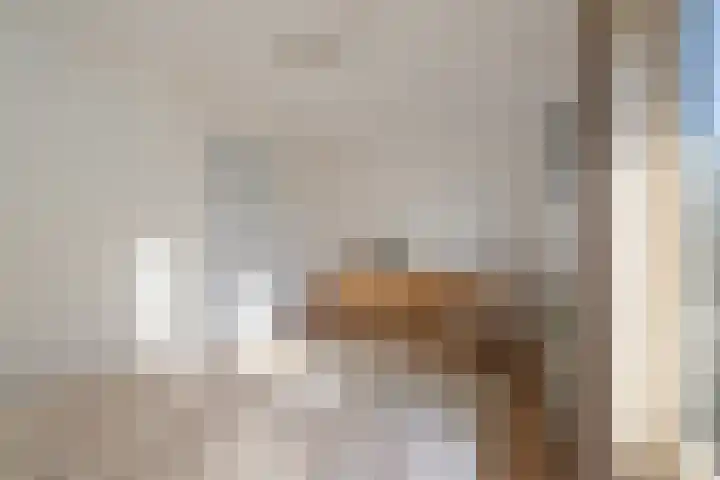Solislaan 67 Capelle aan den IJssel thumbnail 36