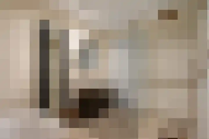 Solislaan 67 Capelle aan den IJssel thumbnail 45
