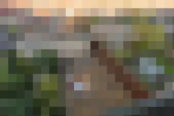 Solislaan 67 Capelle aan den IJssel thumbnail 54