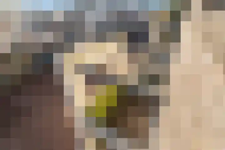Solislaan 67 Capelle aan den IJssel thumbnail 57