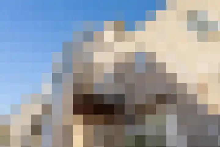 Solislaan 67 Capelle aan den IJssel thumbnail 66
