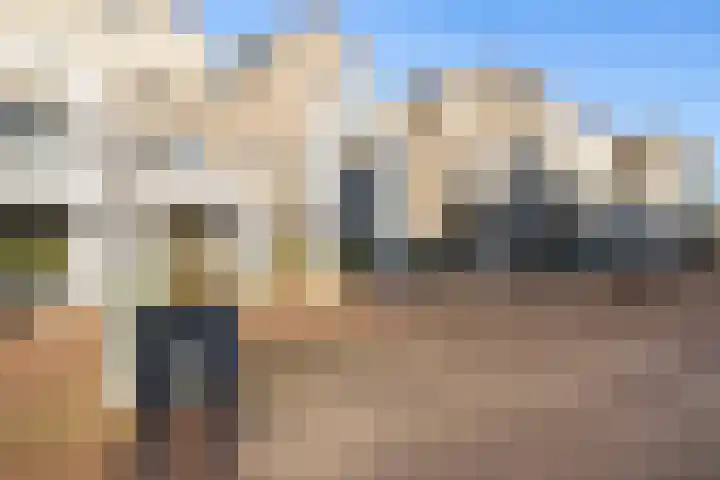 Solislaan 67 Capelle aan den IJssel thumbnail 71