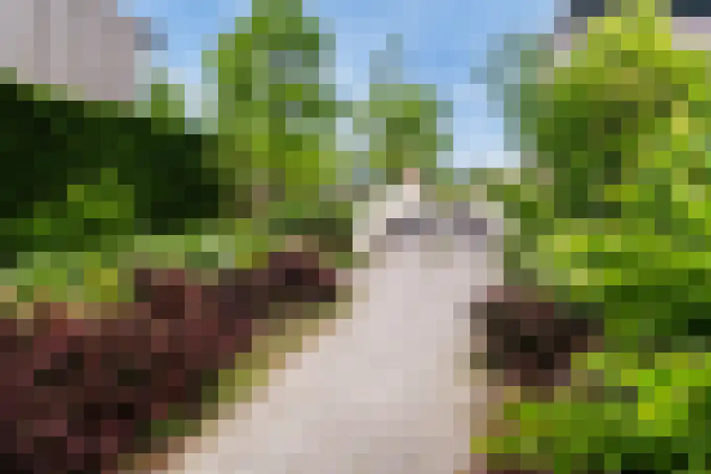 Solislaan 75 Capelle aan den IJssel thumbnail 57