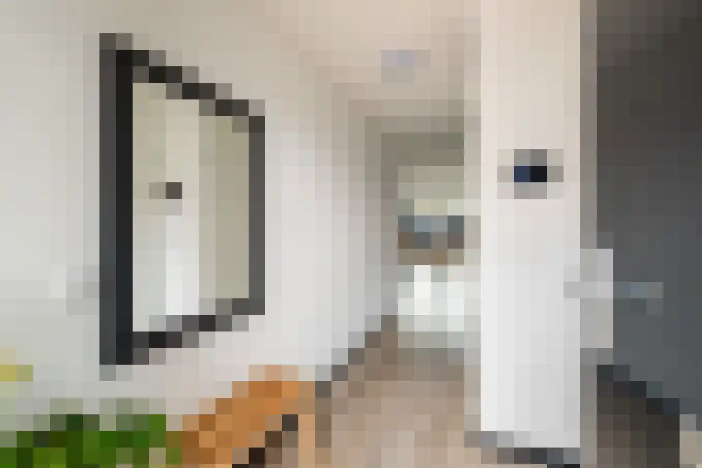 Solislaan 75 Capelle aan den IJssel thumbnail 8