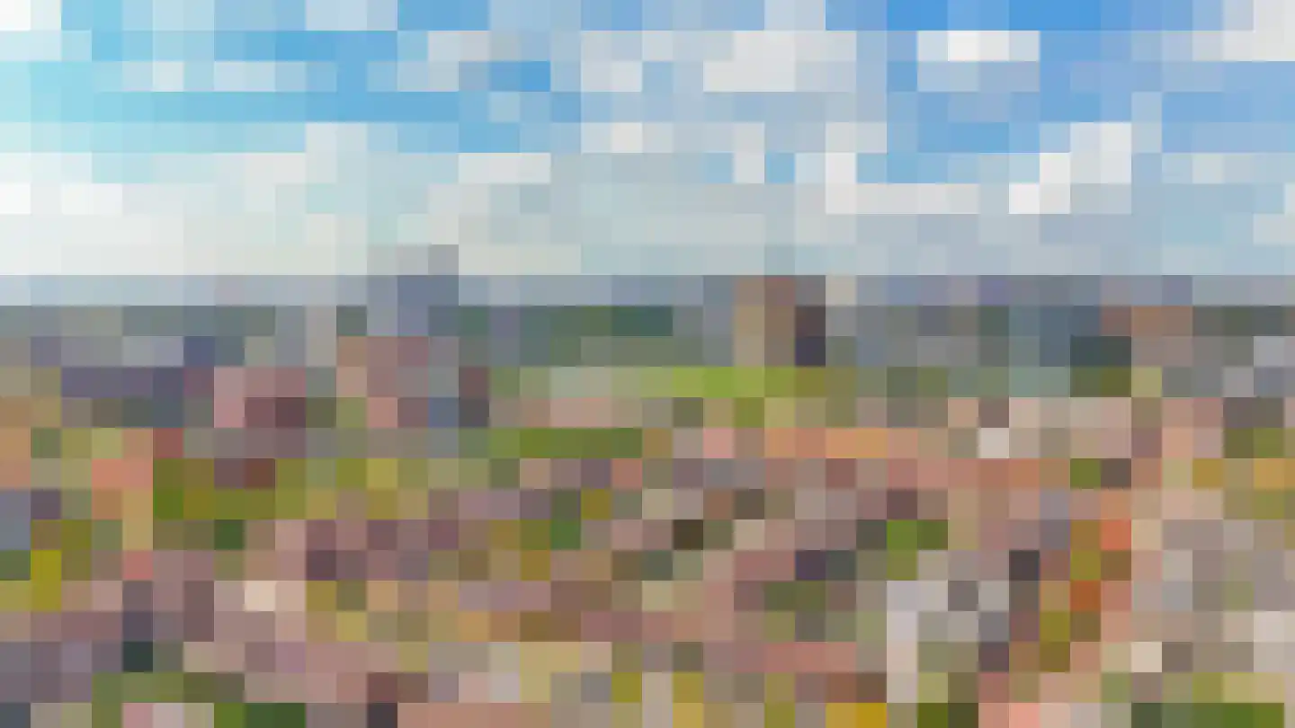Solisplein 61 Capelle aan den IJssel thumbnail 17