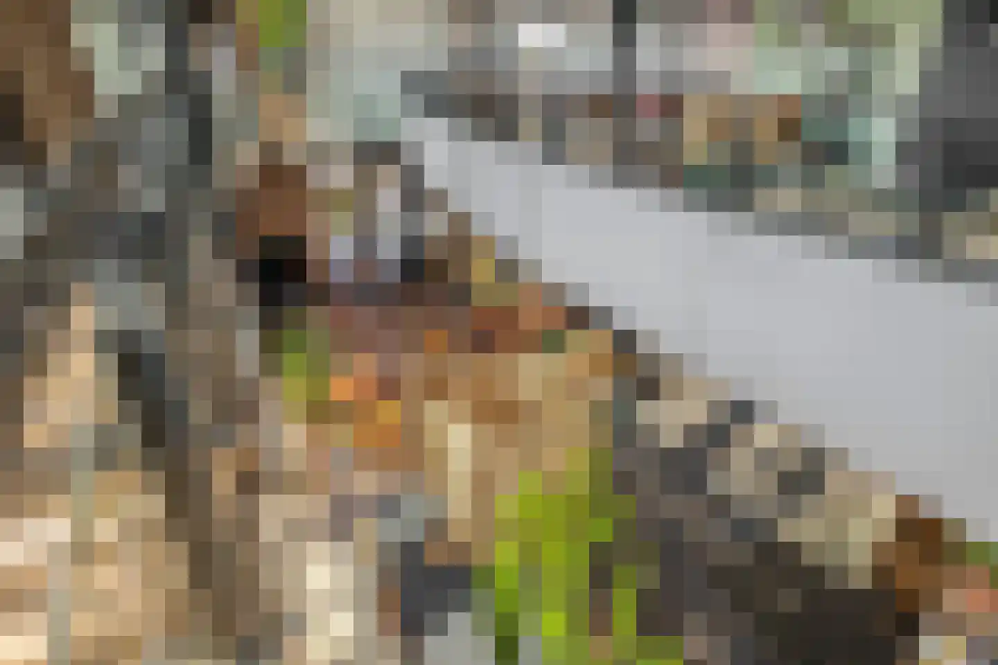 Solisplein 61 Capelle aan den IJssel thumbnail 8