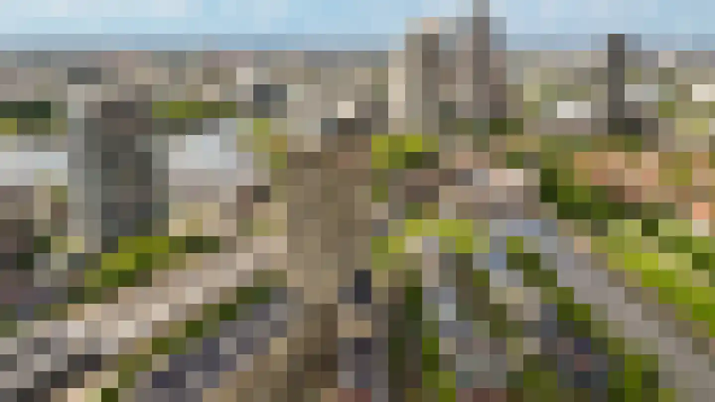 Solitudolaan 192 Amsterdam thumbnail 10