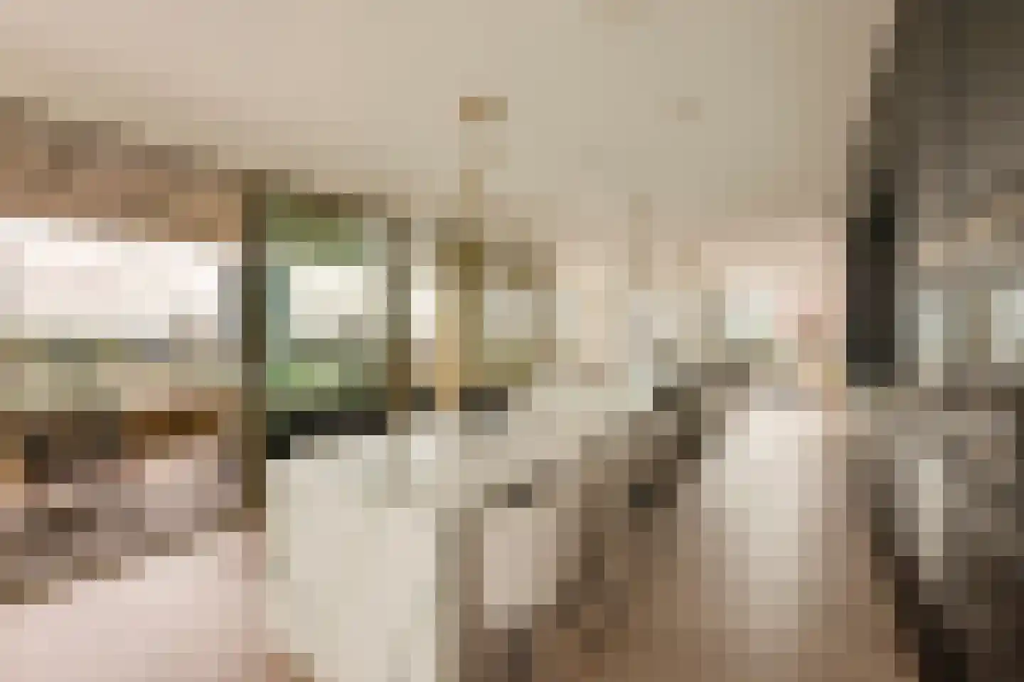 Solitudolaan 192 Amsterdam thumbnail 18