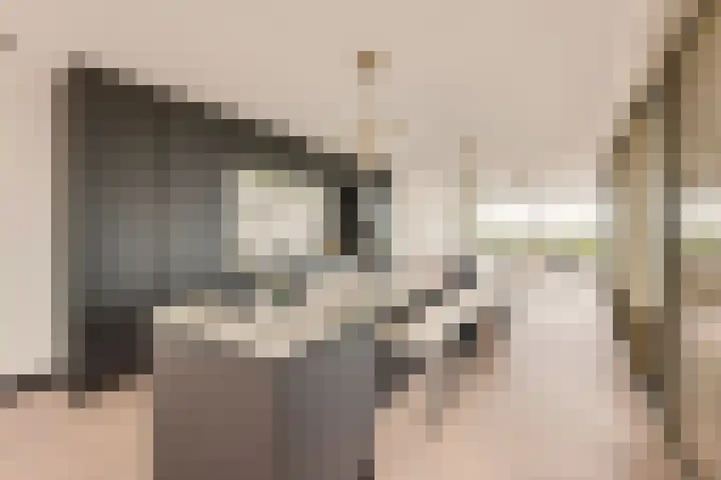 Solitudolaan 192 Amsterdam thumbnail 25