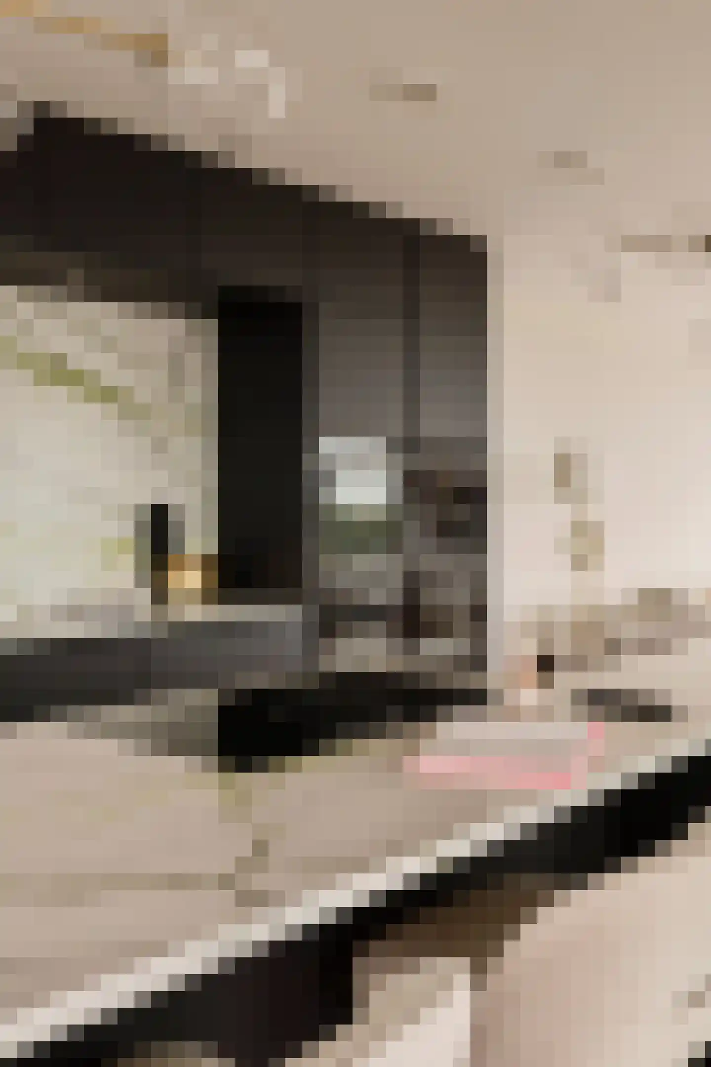Solitudolaan 192 Amsterdam thumbnail 26