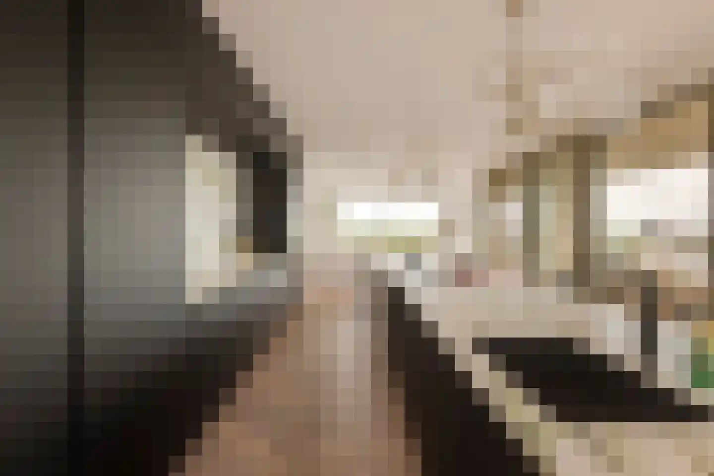 Solitudolaan 192 Amsterdam thumbnail 27