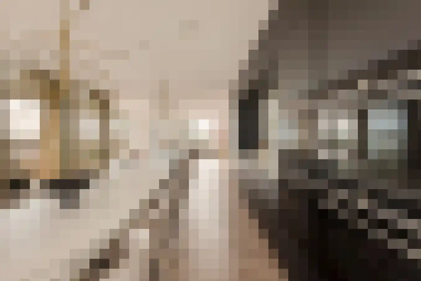 Solitudolaan 192 Amsterdam thumbnail 29