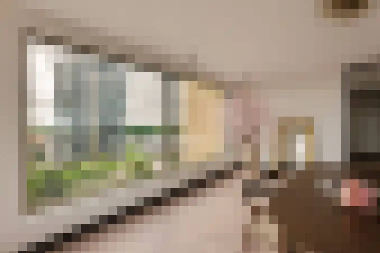 Solitudolaan 192 Amsterdam thumbnail 32