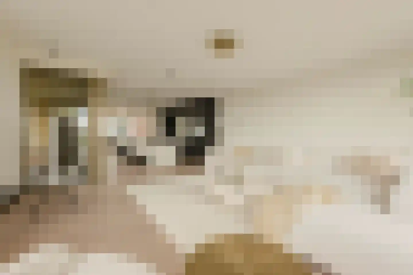 Solitudolaan 192 Amsterdam thumbnail 4