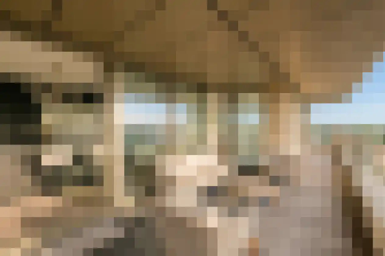 Solitudolaan 192 Amsterdam thumbnail 5