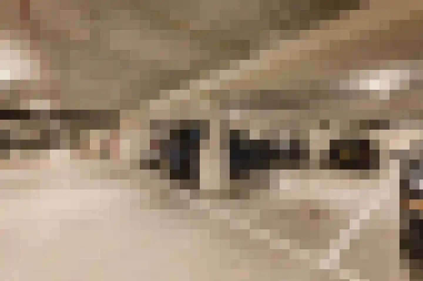 Solitudolaan 192 Amsterdam thumbnail 50