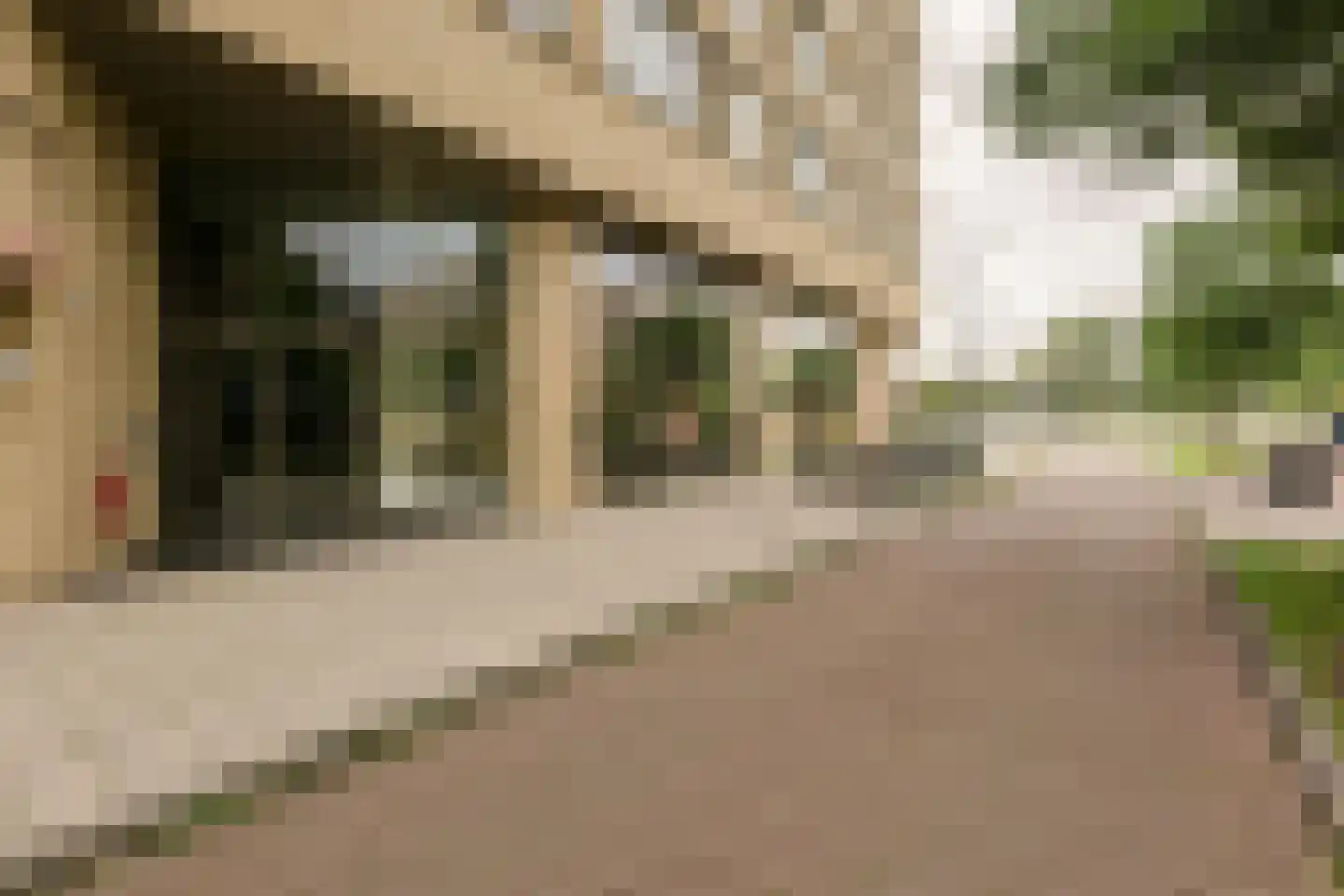 Solitudolaan 192 Amsterdam thumbnail 58