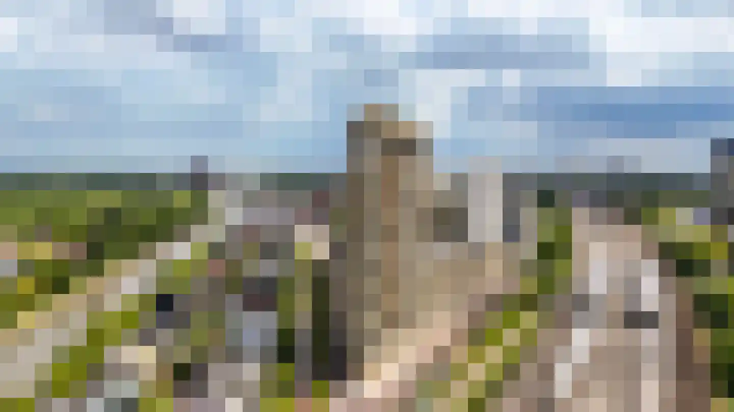 Solitudolaan 192 Amsterdam thumbnail 59