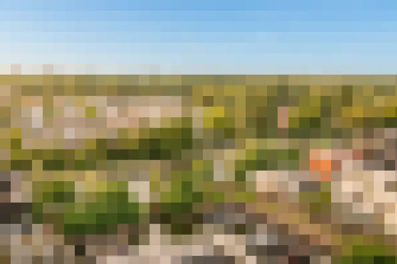 Solitudolaan 192 Amsterdam thumbnail 6