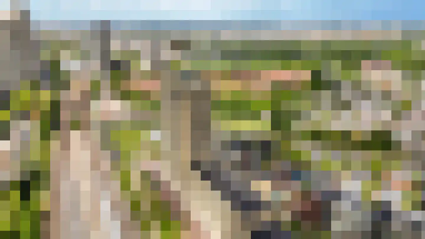 Solitudolaan 192 Amsterdam thumbnail 60