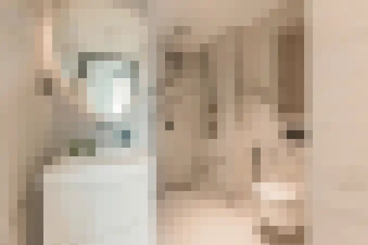 Solitudolaan 192 Amsterdam thumbnail 9