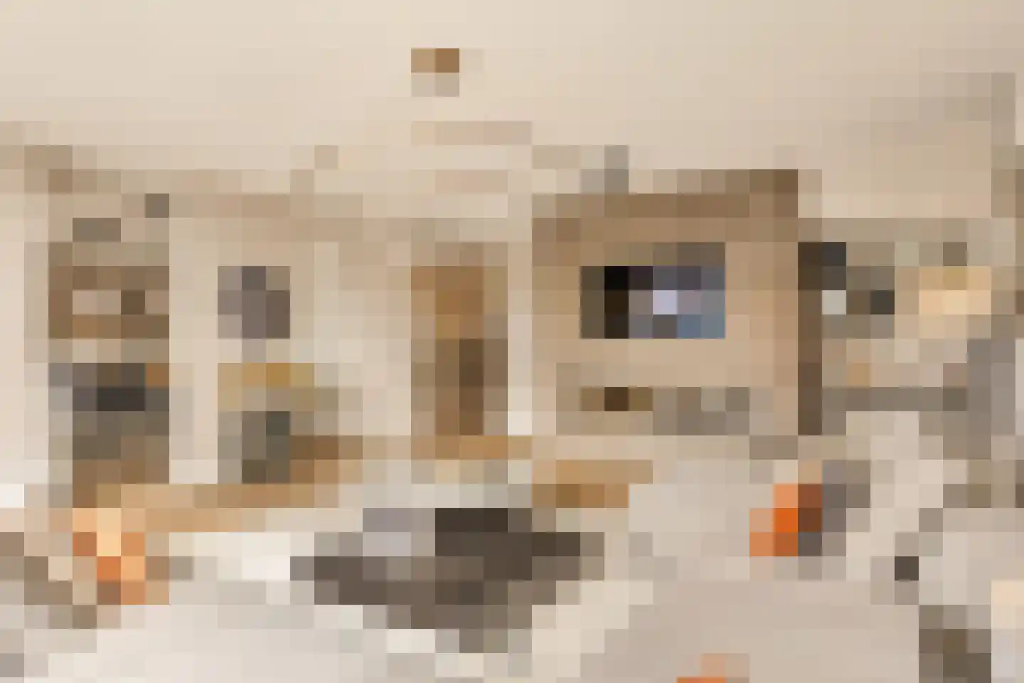 Solitudolaan 222 Amsterdam thumbnail 10