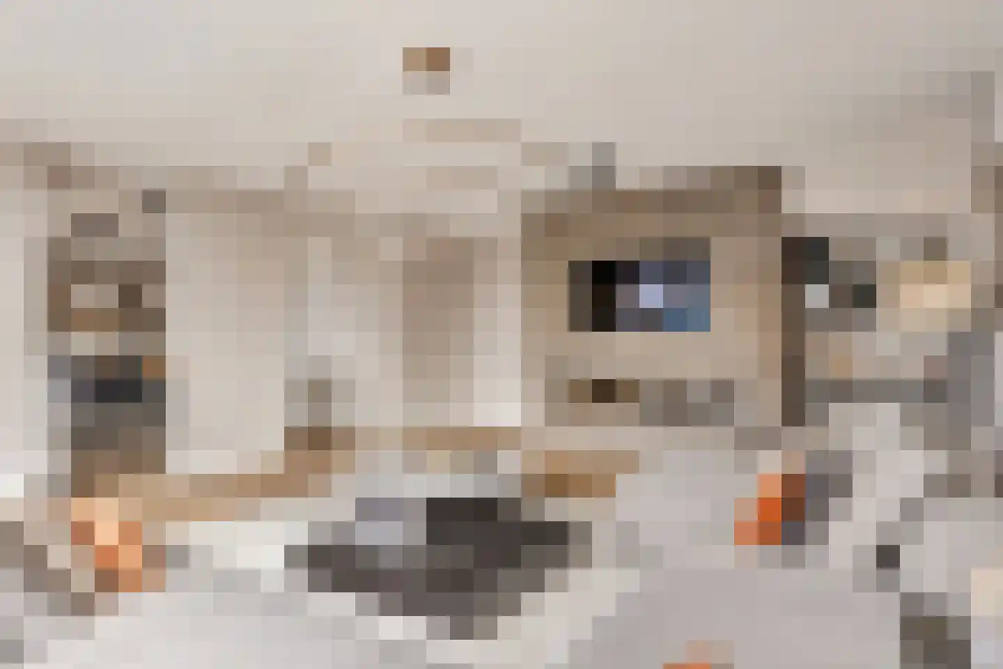 Solitudolaan 222 Amsterdam thumbnail 11
