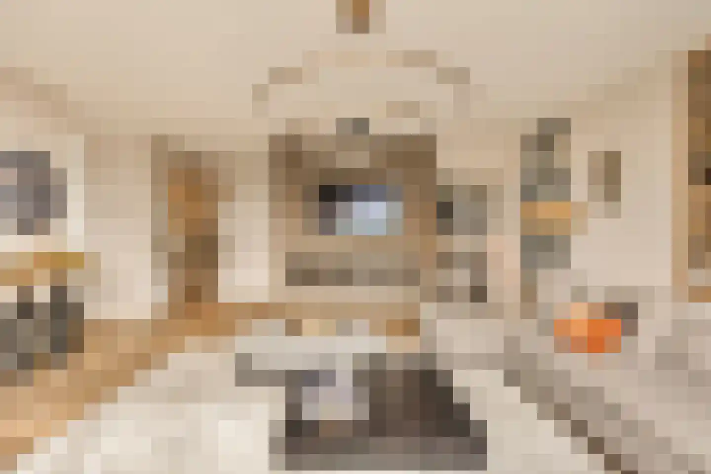 Solitudolaan 222 Amsterdam thumbnail 13