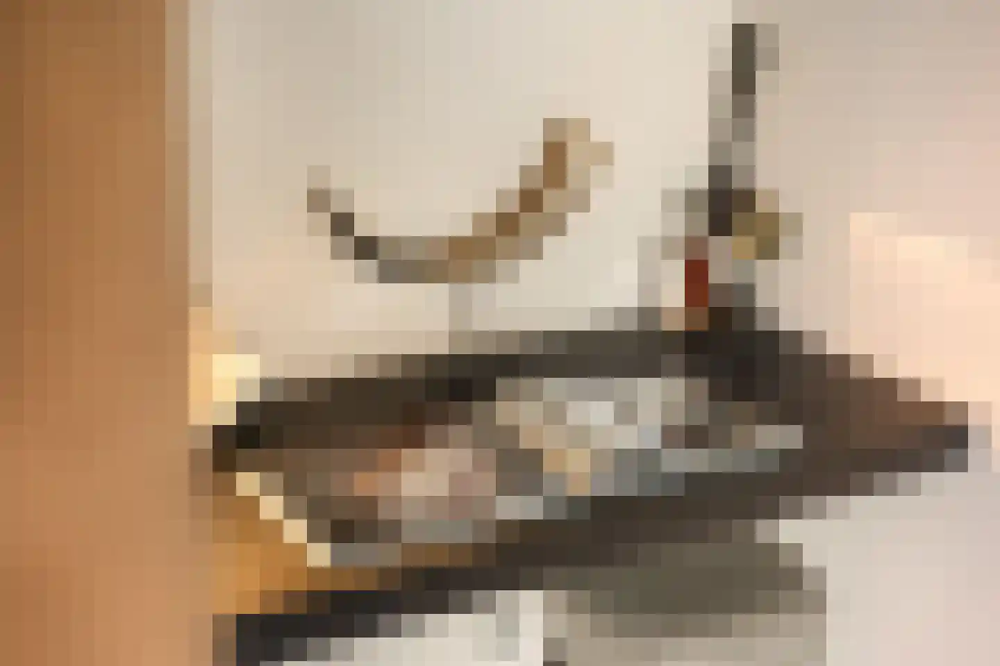 Solitudolaan 222 Amsterdam thumbnail 13