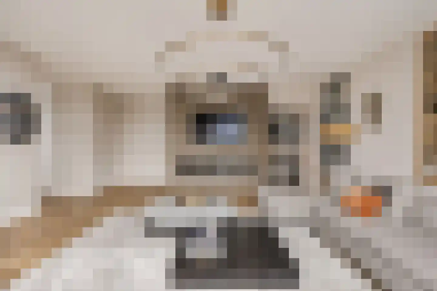 Solitudolaan 222 Amsterdam thumbnail 14