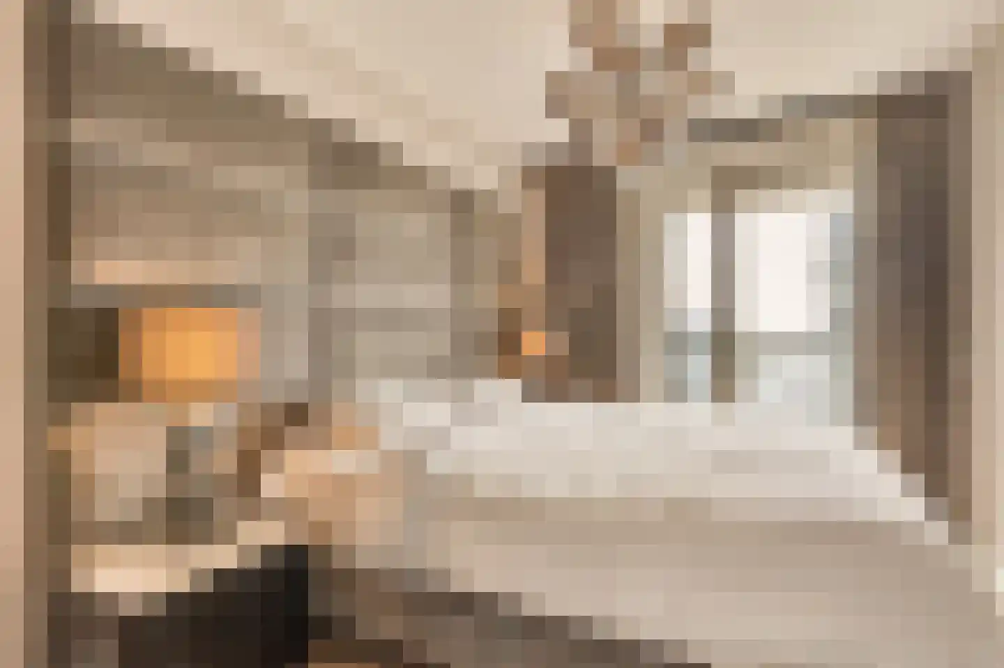 Solitudolaan 222 Amsterdam thumbnail 17
