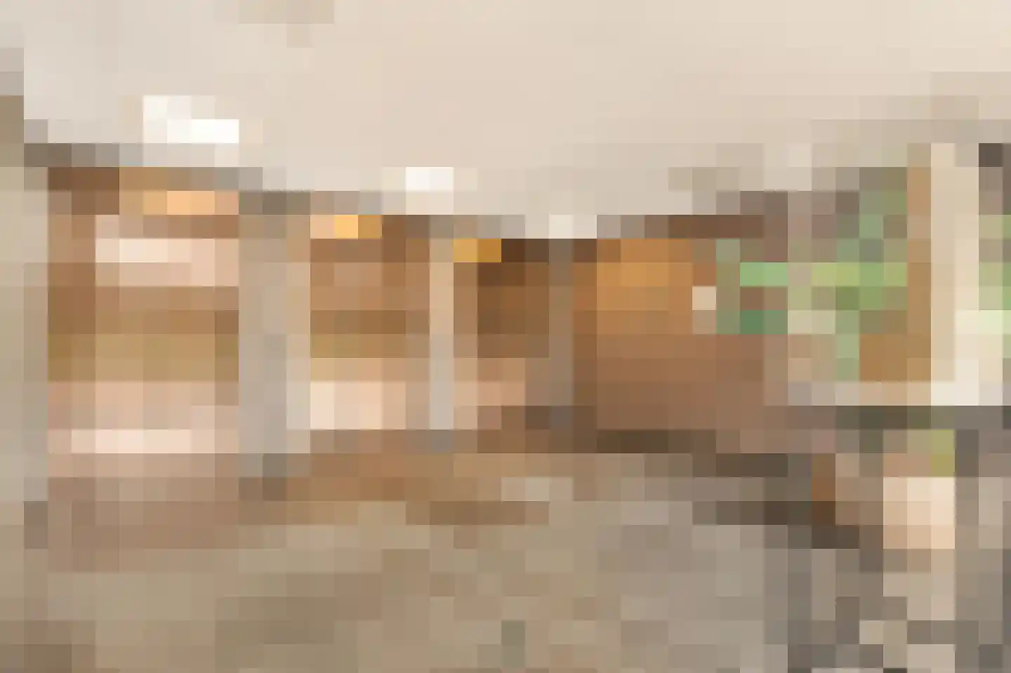 Solitudolaan 222 Amsterdam thumbnail 26