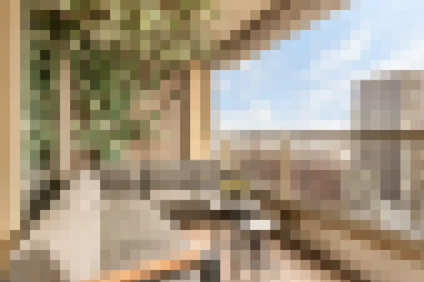 Solitudolaan 222 Amsterdam thumbnail 4