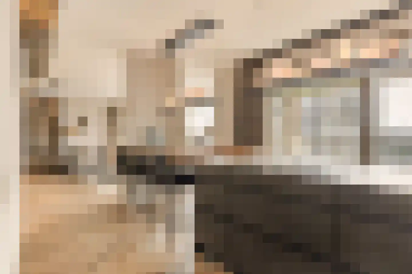 Solitudolaan 222 Amsterdam thumbnail 5
