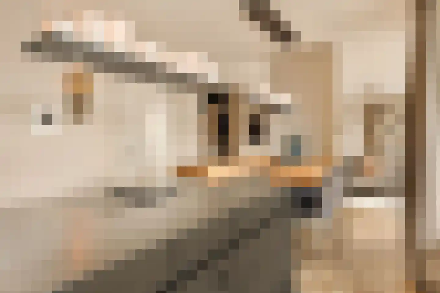 Solitudolaan 222 Amsterdam thumbnail 6