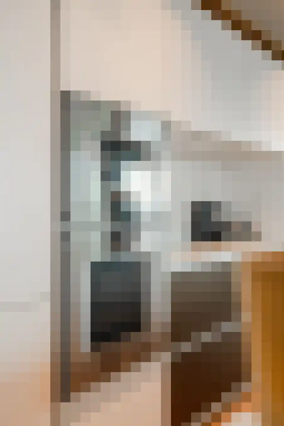 Solitudolaan 224 Amsterdam thumbnail 13