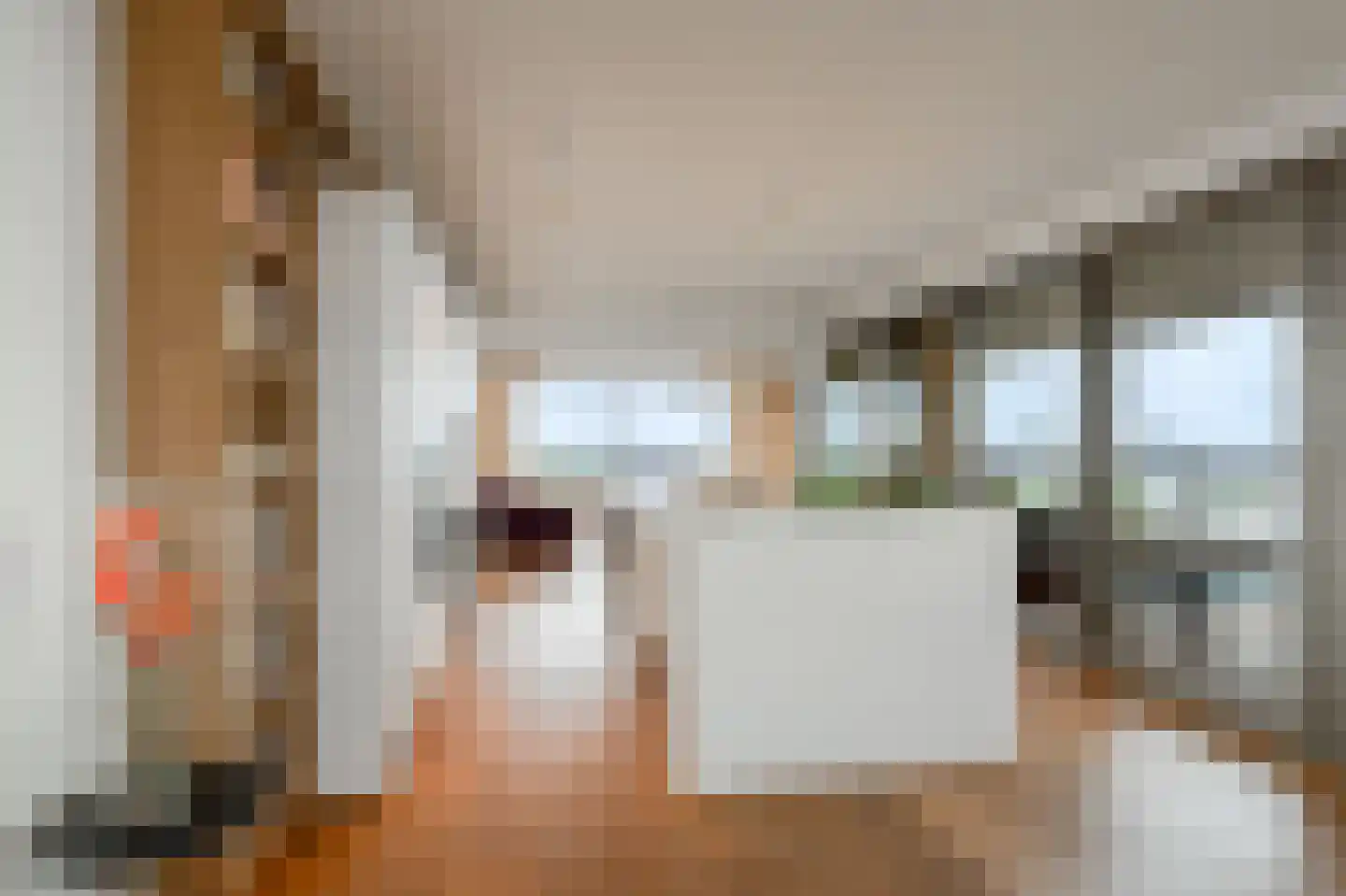 Solitudolaan 224 Amsterdam thumbnail 15
