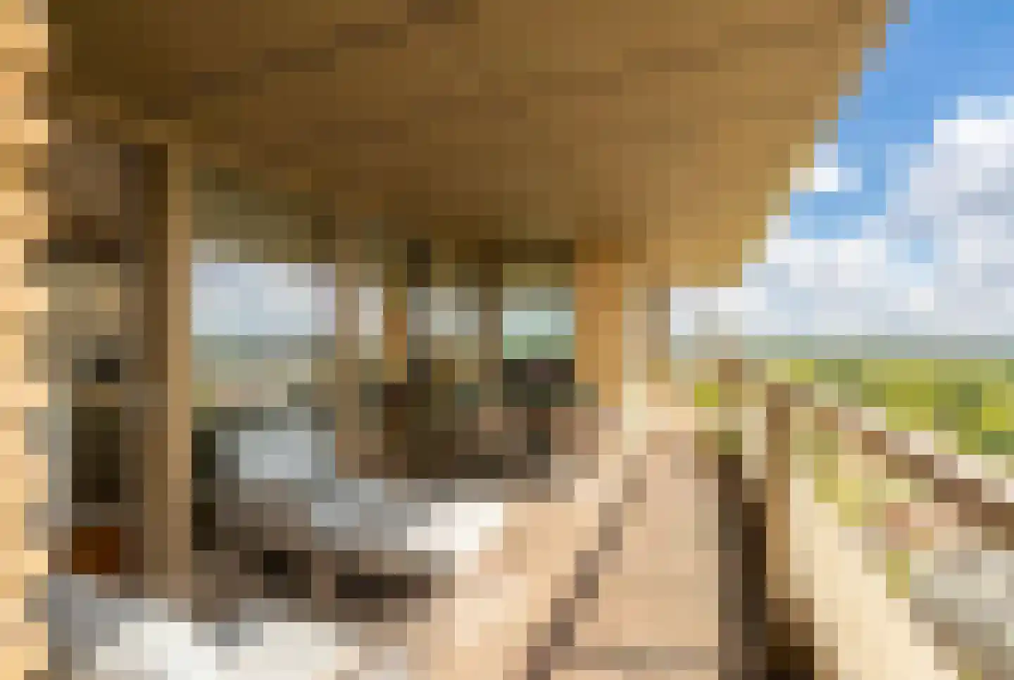 Solitudolaan 224 Amsterdam thumbnail 19