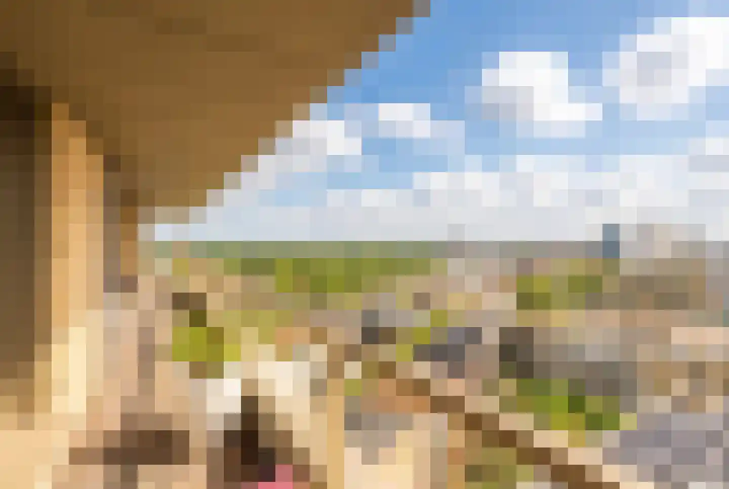 Solitudolaan 224 Amsterdam thumbnail 20