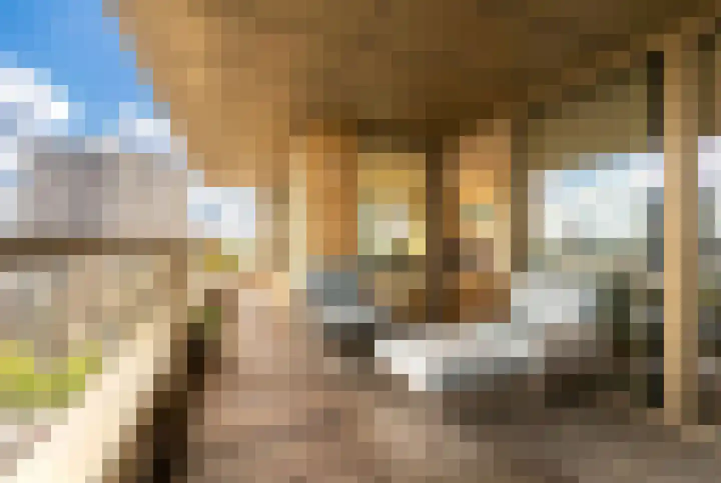 Solitudolaan 224 Amsterdam thumbnail 22