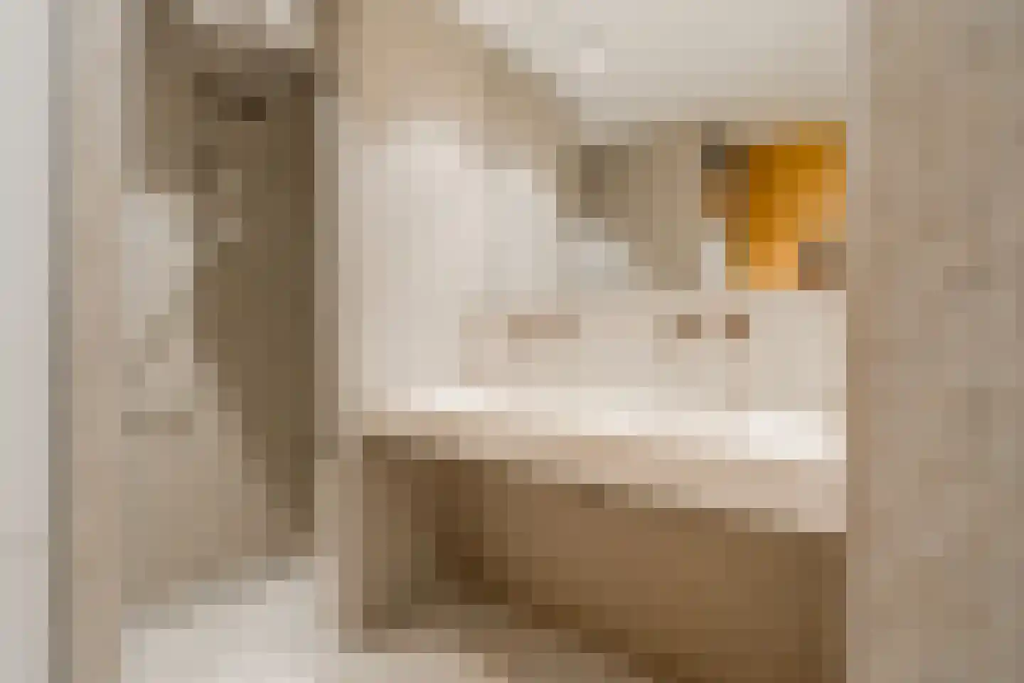 Solitudolaan 224 Amsterdam thumbnail 29