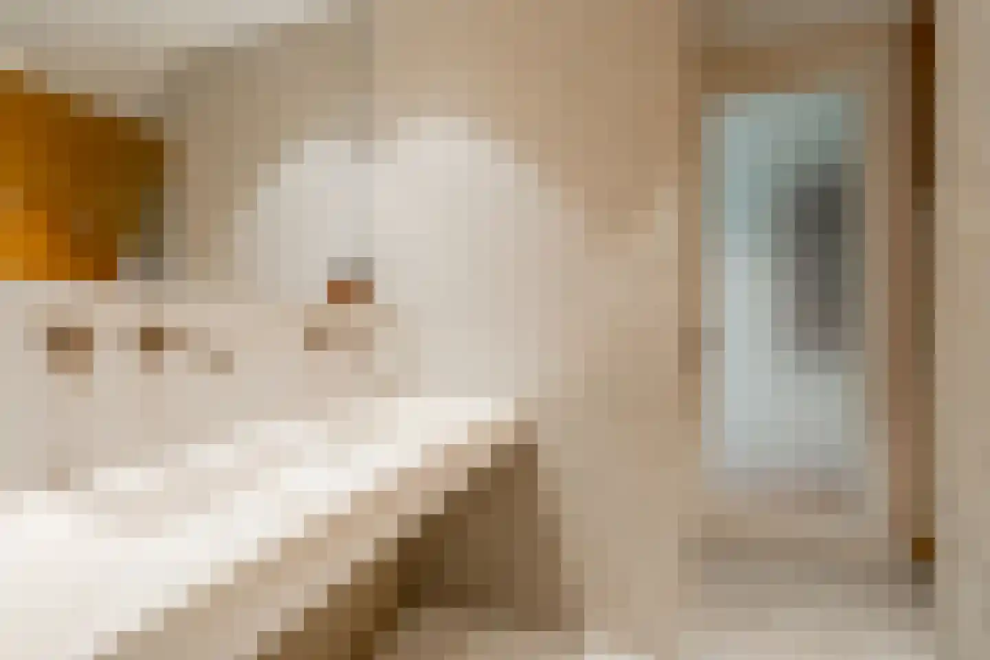 Solitudolaan 224 Amsterdam thumbnail 33
